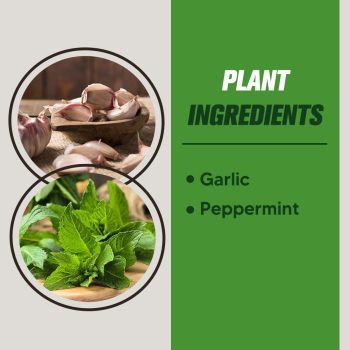 Mole Repellent Outdoor,Vole Repellent for Lawn,Yard,Pet and People Safe Gopher Repellant,Natural Ingredients Groundhog Repellent,Convenient to apply-8P - 3
