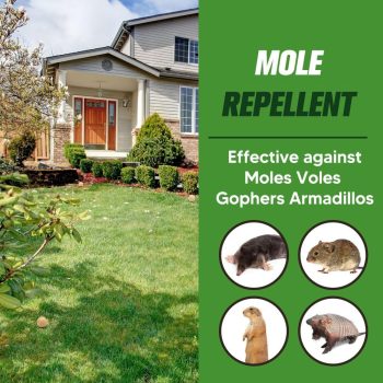 Mole Repellent Outdoor,Vole Repellent for Lawn,Yard,Pet and People Safe Gopher Repellant,Natural Ingredients Groundhog Repellent,Convenient to apply-8P - 7