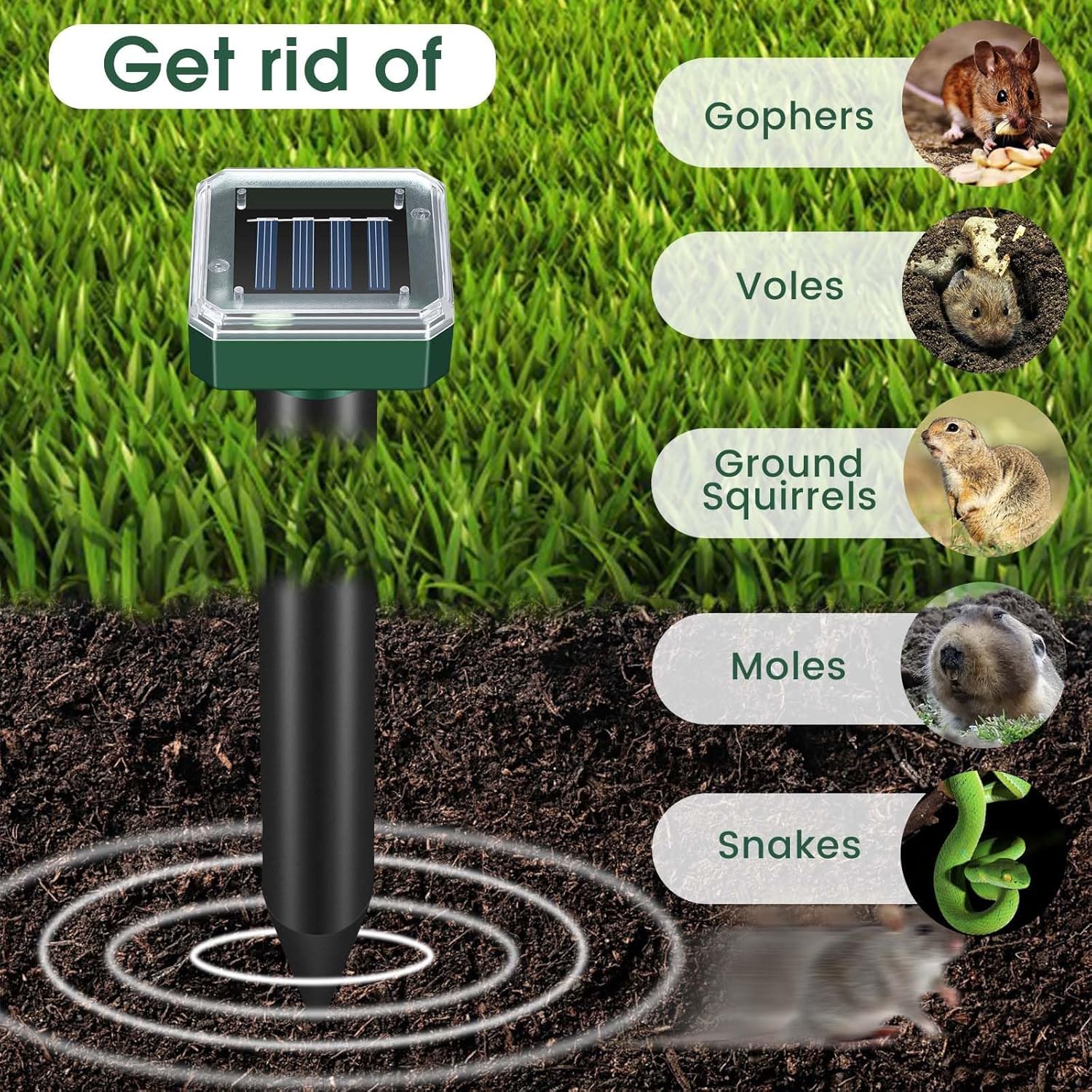 Mole Repellent Solar Powered, Ultrasonic Repeller 4-Pack, Waterproof Sonic Spikes Gopher Vole Groundhog Snake Chipmunk Mole Deterrent Get Rid of Moles in Your Yard - 2