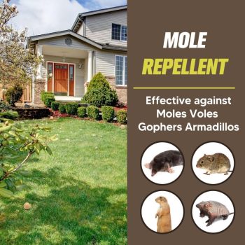 Mole Repellent for Lawns, Gopher Repellent, Groundhog Vole Repellant Outdoor, Keep Moles Out of Garden-Lawn, Pet Safe Mole Repellant, Lasting Protection, Easy to Use-10P - 2