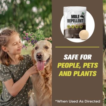 Mole Repellent for Lawns, Gopher Repellent, Groundhog Vole Repellant Outdoor, Keep Moles Out of Garden-Lawn, Pet Safe Mole Repellant, Lasting Protection, Easy to Use-10P - 5