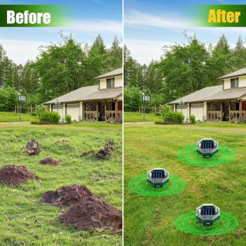 Mole Repellent Solar Powered,8 Pack Gopher Repellent Ultrasonic Mole Stakes Spike Deterrent for Yard,IP65 Waterproof,Solar Rodent Repeller Outdoor,Get Rid of Vole Groundhog Snake - 2