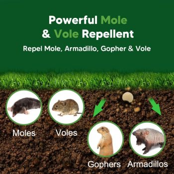 Mole Repellent for Lawns, Gopher Repellent, Groundhog Vole Repellant Outdoor, Keep Moles Out of Garden-Lawn, Pet Safe Mole Repellant, Lasting Protection, Easy to Use-8P - 2