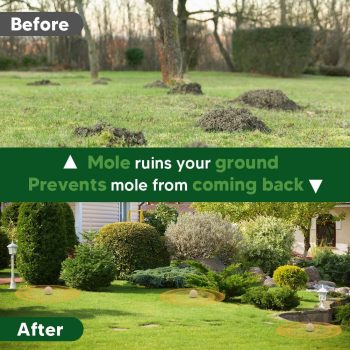 Mole Repellent for Lawns, Gopher Repellent, Groundhog Vole Repellant Outdoor, Keep Moles Out of Garden-Lawn, Pet Safe Mole Repellant, Lasting Protection, Easy to Use-8P - 3