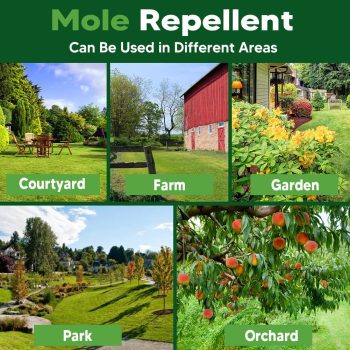 Mole Repellent for Lawns, Gopher Repellent, Groundhog Vole Repellant Outdoor, Keep Moles Out of Garden-Lawn, Pet Safe Mole Repellant, Lasting Protection, Easy to Use-8P - 7