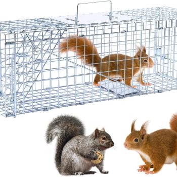 24 Humane Animal Trap Live Animal Trap Cage for Squirrels Small Stray Cats Rabbits Groundhogs Moles Gophers and Chipmunks up to 5.5 lbs Galvanized Rustproof Live Animal Cage Trap - 1