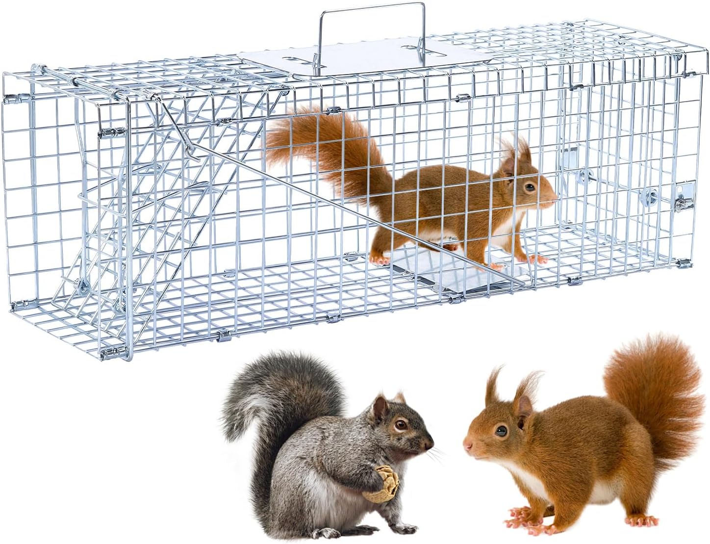 24 Humane Animal Trap Live Animal Trap Cage for Squirrels Small Stray Cats Rabbits Groundhogs Moles Gophers and Chipmunks up to 5.5 lbs Galvanized Rustproof Live Animal Cage Trap - 1