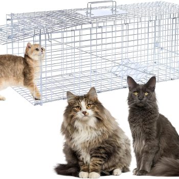 32 Live Animal Traps,Humane Animal Trap for Stray Cats up to 16.5 pounds, Raccoons, Squirrel, Skunk, Mole, Groundhog, Armadillo, Rabbit,Steel Foldable with Pedal Triggers - 1