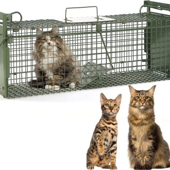 40 2-Door Large Live Animal Traps for Stray Cats up to 17.6 pounds, Raccoons, Squirrel, Skunk, Mole, Groundhog, Armadillo, Rabbit, with Pedal Triggers - 1