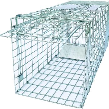 Folding Collapsible Humane Live Animal Cage Trap No-Kill Trapping Kit for Humane Catch Release Rodent Rabbits, Stray Cat, Squirrel, Raccoon, Opossum, All Fit Sized Animals, 2-Door - 1