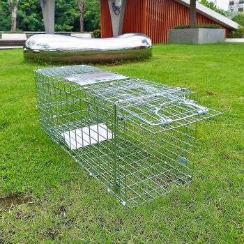 Folding Collapsible Humane Live Animal Cage Trap No-Kill Trapping Kit for Humane Catch Release Rodent Rabbits, Stray Cat, Squirrel, Raccoon, Opossum, All Fit Sized Animals, 2-Door - 3