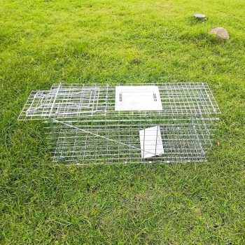 Folding Collapsible Humane Live Animal Cage Trap No-Kill Trapping Kit for Humane Catch Release Rodent Rabbits, Stray Cat, Squirrel, Raccoon, Opossum, All Fit Sized Animals, 2-Door - 4
