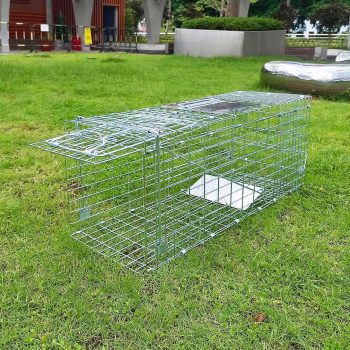 Folding Collapsible Humane Live Animal Cage Trap No-Kill Trapping Kit for Humane Catch Release Rodent Rabbits, Stray Cat, Squirrel, Raccoon, Opossum, All Fit Sized Animals, 2-Door - 5