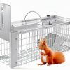 Live Animal Cage Trap, Durable Humane Animal Trap for Squirrels, Weasels, Chipmunks, and Small Animals, Easy Catch & Release (1 Trap) - 1